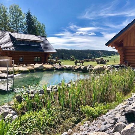Naturstammhaus Und Appartements Zum Brockenbaecker Танне Екстер'єр фото