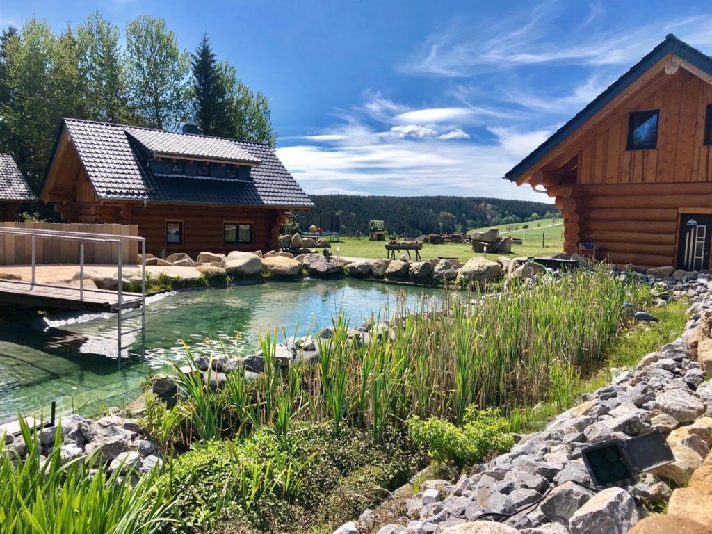 Naturstammhaus Und Appartements Zum Brockenbaecker Танне Екстер'єр фото