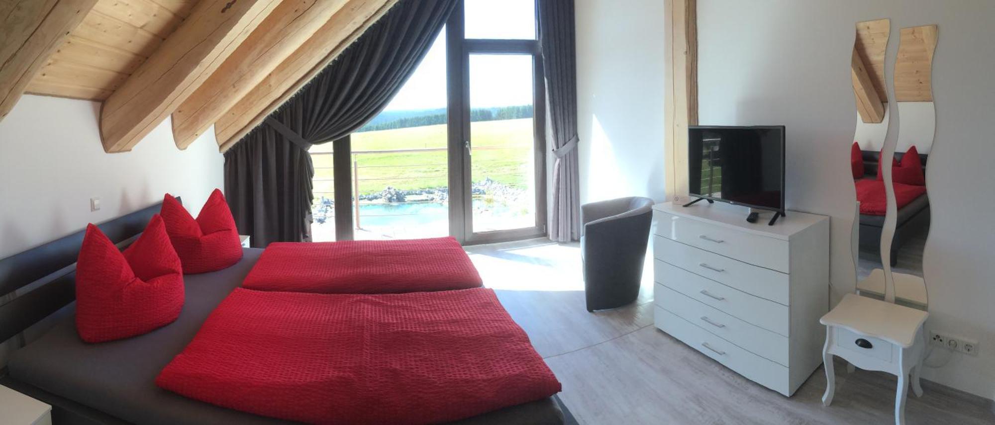 Naturstammhaus Und Appartements Zum Brockenbaecker Танне Номер фото