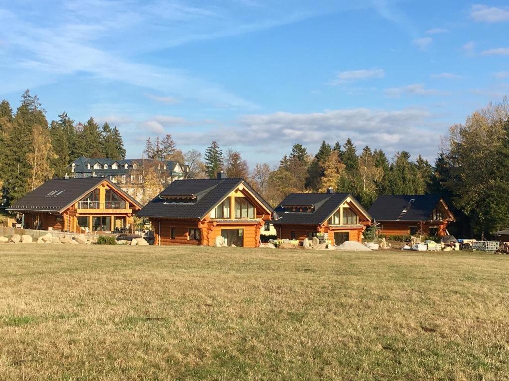 Naturstammhaus Und Appartements Zum Brockenbaecker Танне Екстер'єр фото